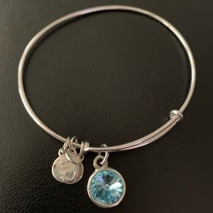 Alex and Ani Stone Bangle